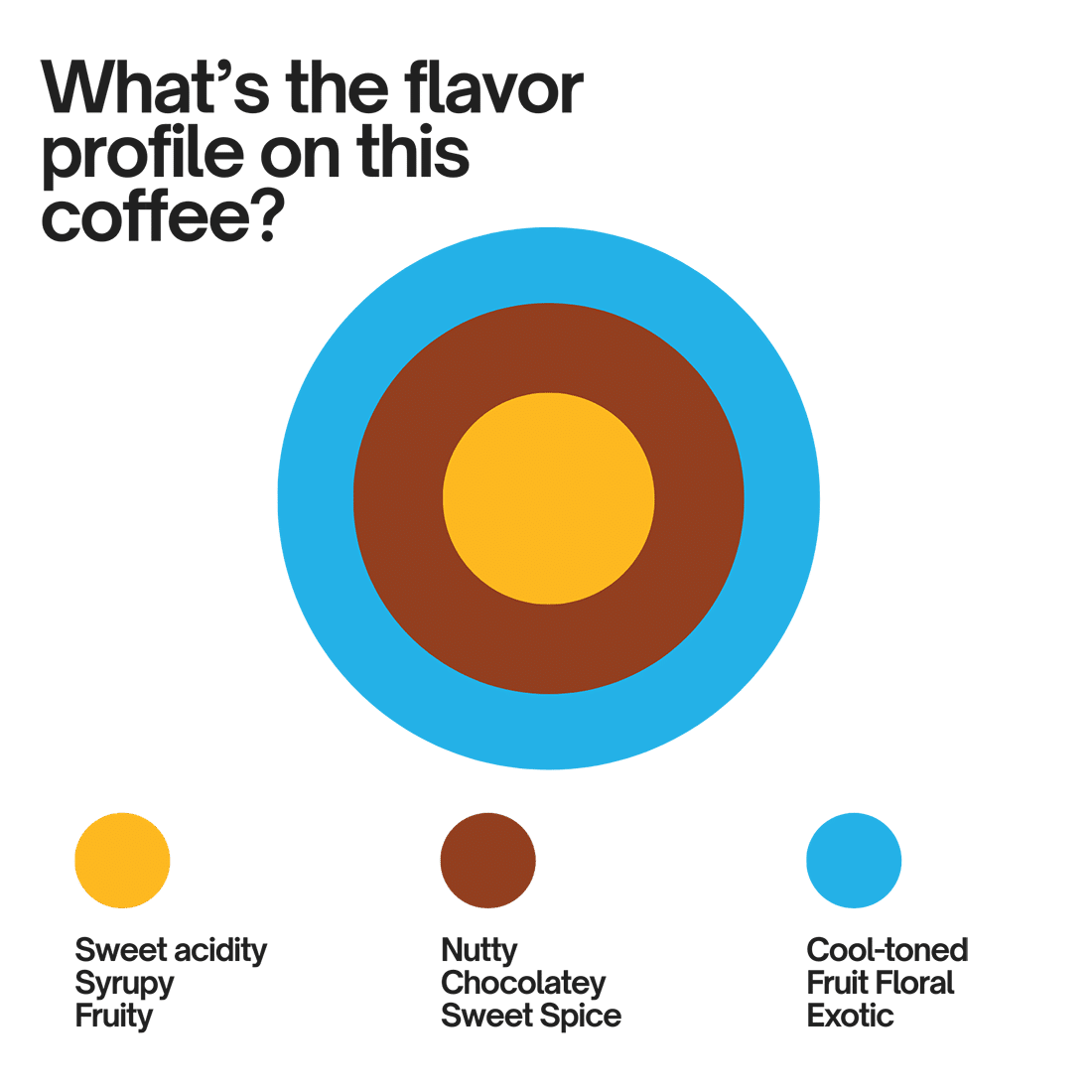 Brazil Scarab Coffee flavors and origins coffee shops Dubai roastery drinkware