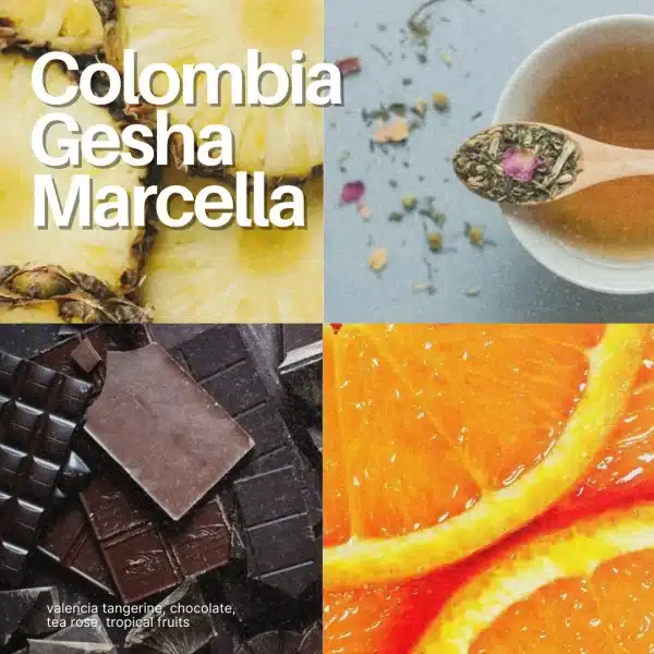 Colombia Gesha Marcella - Image 2